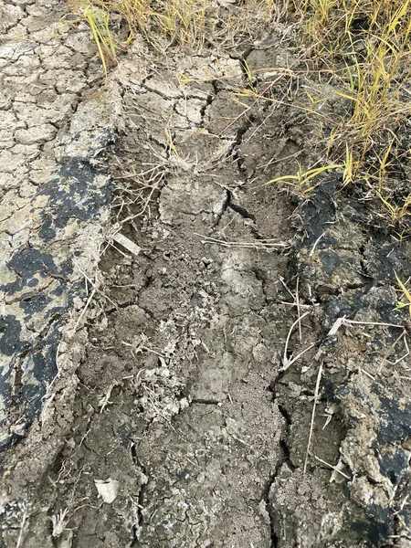cracked soil and dry soil on the ground