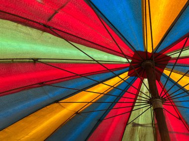 Parkta renkli şemsiyeler