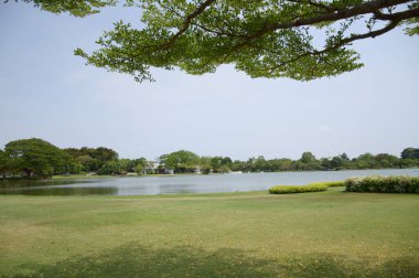 Yazın Bangkok Tayland 'da göl kenti