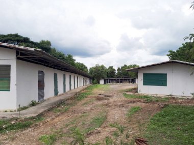 Ormanda ve mavi gökyüzünde terk edilmiş bir ev