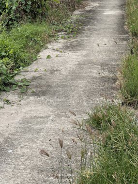 Parktaki beton yolu kapatın.