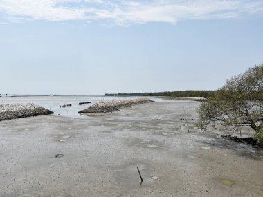 Chachoengsao Tayland 'daki adanın kıyısında.