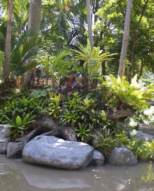 Bitki ve taş ile doğa bahçesinde kaya