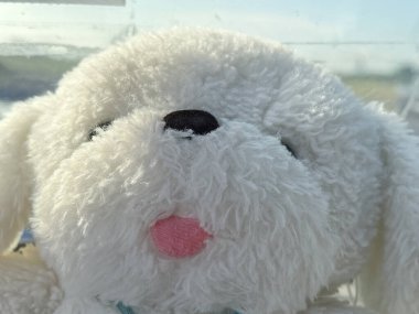 Odadaki beyaz ayıcık