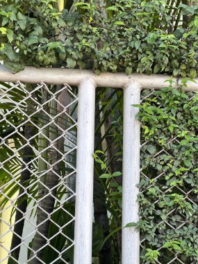 Arkaplan olarak yeşil bitkili metal kapı