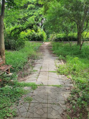 Parkın güzel manzarası