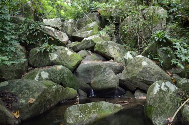 Ormandaki nehir. Chonburi Tayland 'da şelale.