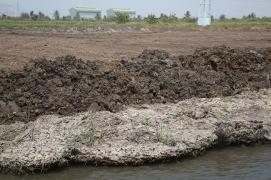 Toprak ve göl, su gölette..