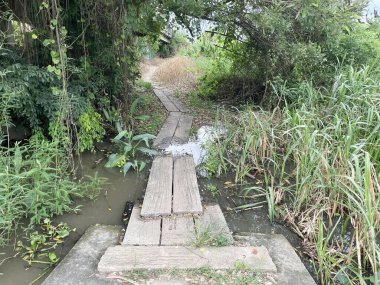 Parktaki eski ahşap köprü