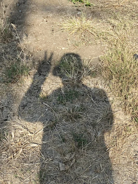 shadow of a man on a dry grass