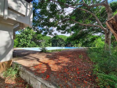 Parkın güzel manzarası