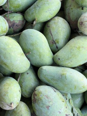 Piyasada taze yeşil mango