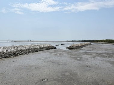 Chachoengsao Tayland 'daki adanın kıyısında.