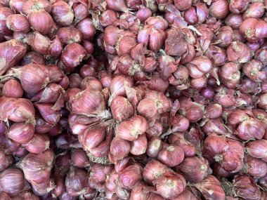 soğan piyasa yukarıya kapatmak.