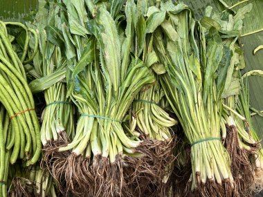 Taze yeşil eryngium foetidum ya da pazarda satılık uzun kişniş yaprakları