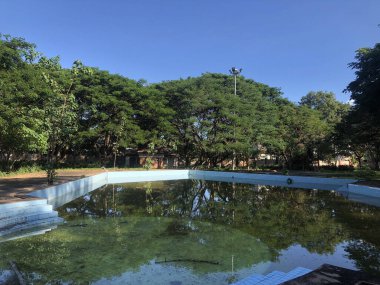 Parkta terk edilmiş havuz