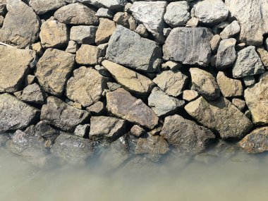 Denizde grup taşları