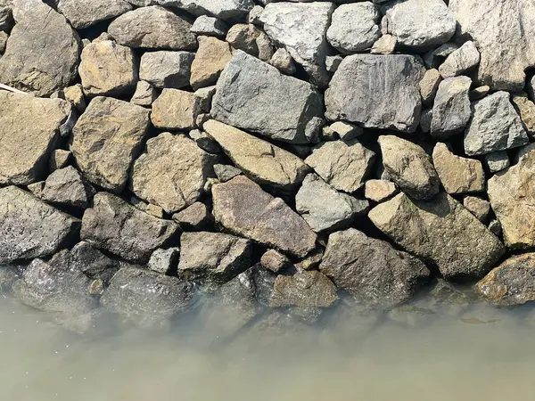 Denizde grup taşları