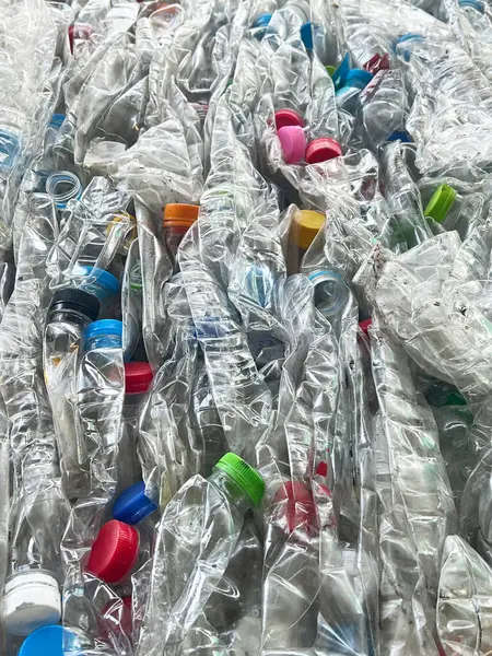 Plastik geri dönüşüm şişeleri