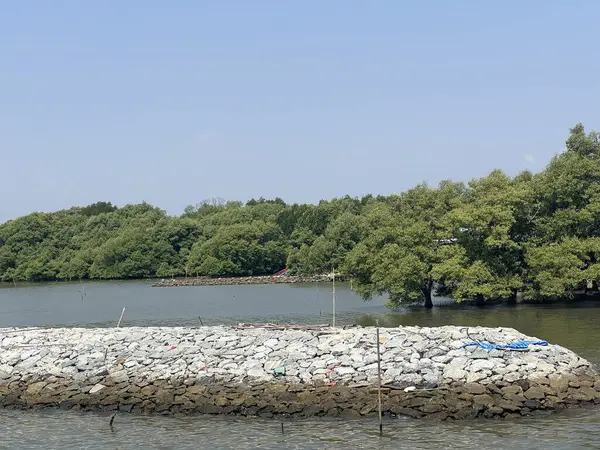 Chachoengsao Tayland 'daki adanın kıyısında.