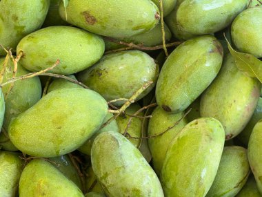 Tayland 'da yeşil mango meyvesi
