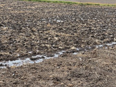 Hasattan sonra kuru toprak tarlası