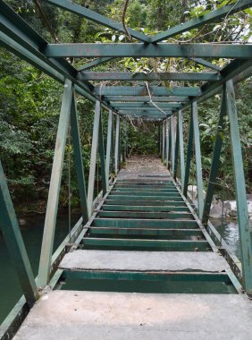 Ormanda terk edilmiş bir köprü