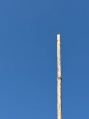Mavi gökyüzüne karşı ahşap bir direk