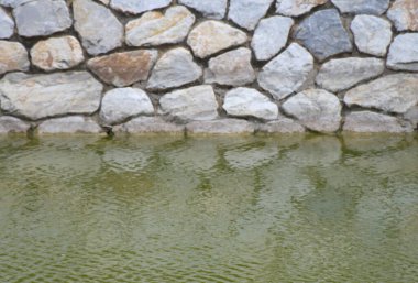 Kyoto 'daki Japon parkının göleti.