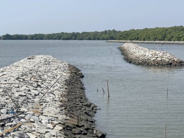 Chachoengsao Thaland 'daki deniz.