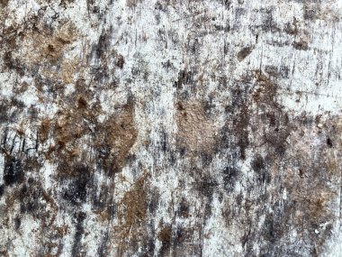 Eski ahşap doku arka planı, doğal ahşap doku arka planı