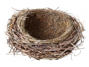 kuru kuş yuvası beyaz arkaplanda izole edildi