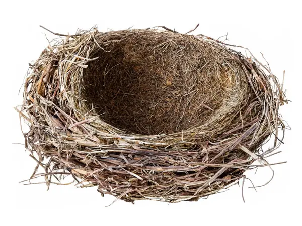 kuru kuş yuvası beyaz arkaplanda izole edildi