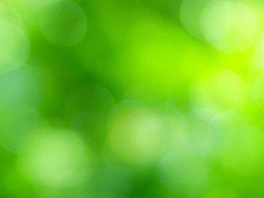 Yeşil bulanık bokeh arka plan