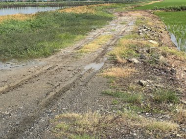 Kırsal kesimin yolu.