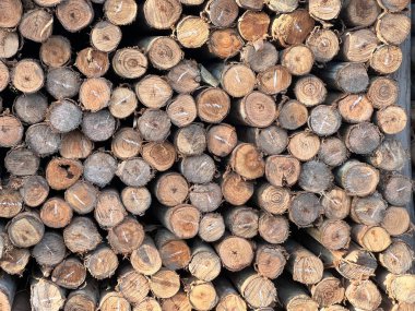Ahşap kütükler yığını, arkaplan.