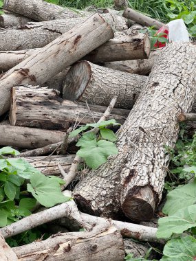 Bir sürü doğranmış odun.