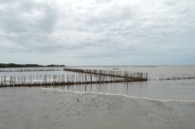 Deniz ve kum manzarası