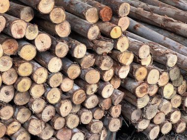 odun yığını