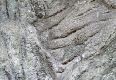 taş dokusunun arkaplanı, yakın plan fotoğrafı