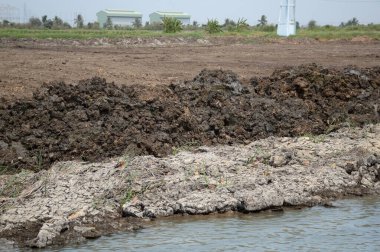 Toprak küçük bir çiftlik.