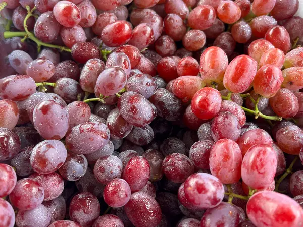 Tezgahtaki olgun kırmızı üzümleri kapatın.