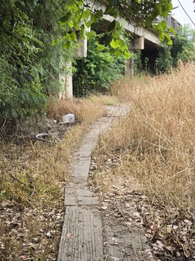 Tayland 'ın çimento tabakası