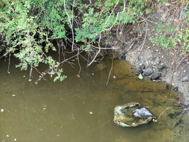 Doğanın güzel manzarası