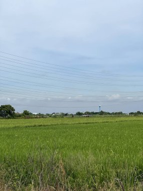 Kırsal manzarası çok güzel.