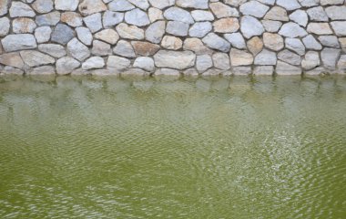Taşlı Japon göleti 