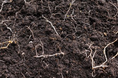 Toprakla kaplı toprak. zemin üst görünümü.