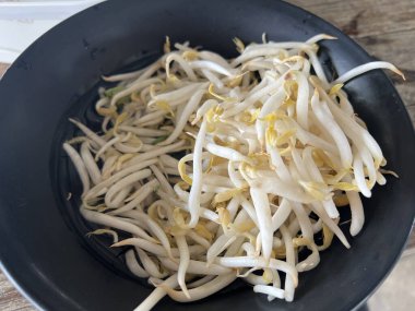 Siyah tabakta taze organik fasulye filizini kapatın.