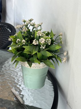 Masanın üzerinde güzel bir saksı