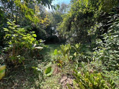 Parkın güzel manzarası